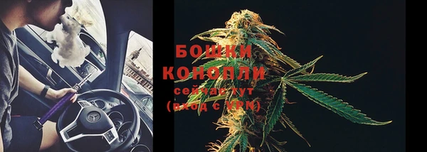 гидропоника Бородино