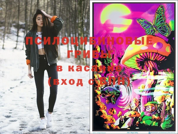 круглые Богданович