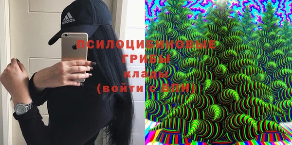 гидропоника Бородино