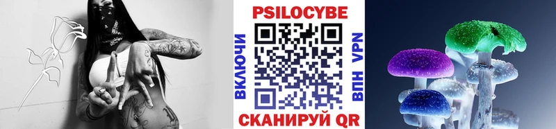 Псилоцибиновые грибы Psilocybine cubensis  купить закладку  Медногорск 